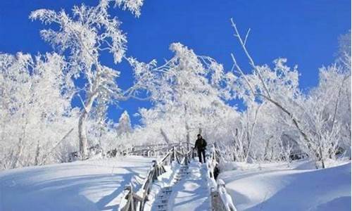 今年冬天会冷吗?_今年冬季天气会冷吗